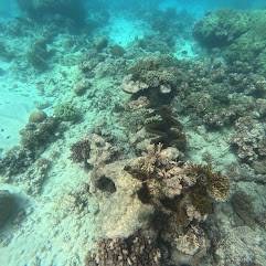 Great Barrier Reef