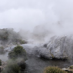 Te Puia, Rotorua Geothermal Park